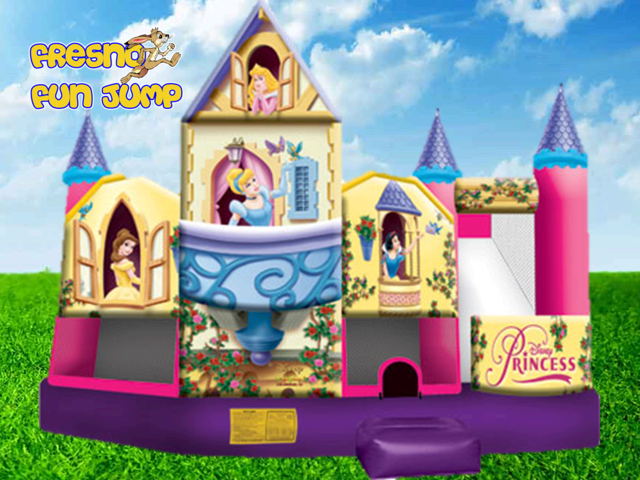 Deluxe Disney Princess Collection Deluxe Disney Princess Collection