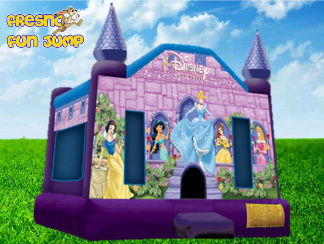 Disney Princess Castle Disney Princess Castle
